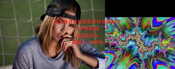 стафф Липки