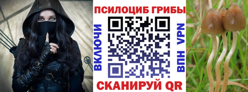 Псилоцибиновые грибы GOLDEN TEACHER  Купить  Очёр 